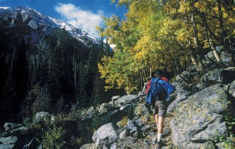 Hike Definition & Meaning .